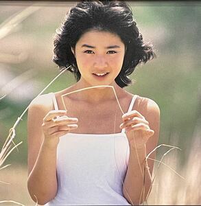 [国内盤DVD] 菊池桃子/30th anniversary 菊池桃子 in トップテン-日本テレビ秘蔵映像集- 〈2枚組〉 [2枚組]