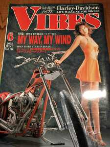 VIBES　バイブズ 　2003年 6月 vol.116　小池瞳