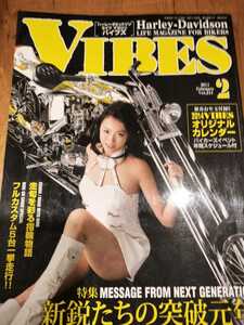 VIBES　バイブズ 　2014年 2月 vol.244　柚月あい