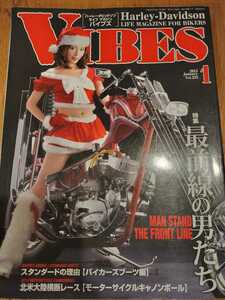 VIBES　バイブズ 　2015年 1月 vol.255　横山美雪