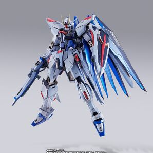 METAL BUILD フリーダムガンダム CONCEPT 2 SNOW SPARKLE Ver.