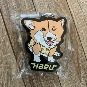 柴犬スティーブch【コーギーと猫を添えて】おしゃべりラバーストラップ　ハルver［HARU］