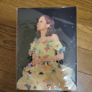  west . kana. pamphlet ( Live concert ) { pamphlet ( Live )} pamphlet ) Kana Nishino Dome Tour
