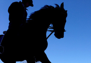 ■南関東競馬■　●追い上げ投資の真実●●　値下交渉可！