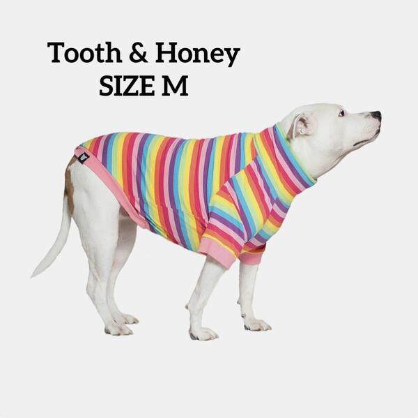 犬★服★シャツ ワンちゃん 輸入品★日本非売品 Tooth&Honey M