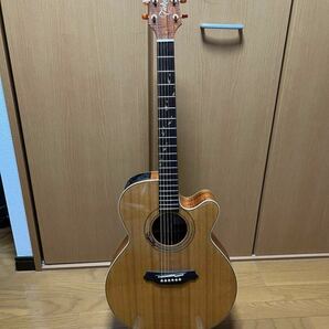 TAKAMINE アコースティックギター LTD97 LizardEdition(純正ハードケース付)