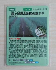 水の恵みカード　霞ケ浦用水地区の夏ネギ