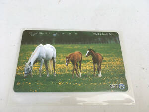 新品未使用 馬の親子 NTT 50度数 テレホンカード テレカ 白馬 仔馬 子馬 競走馬 競馬 動物 風景
