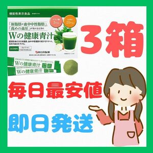 Wの健康青汁3か月分 31包×3=93包入り 新日本製薬【激安/最安値】