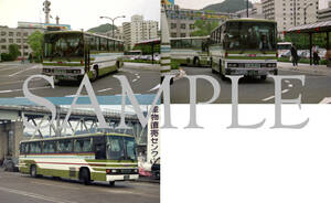 Ｆ【バス写真】Ｌ版３枚　広島電鉄　Ｄ３　Ｄ５ブルーリボン　貸切車