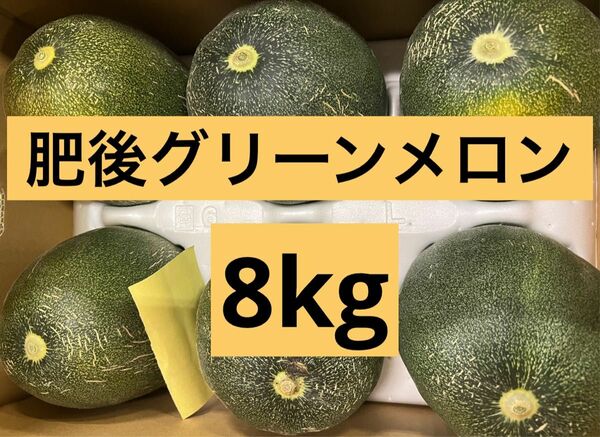 肥後グリーンメロン　 8kg