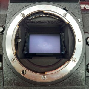 ■ Nikon F5 ボディ フィルム一眼レフカメラ 動作確認済 シャッター、露出計OK ニコンの画像7