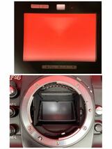 □ 防湿庫保管品 Nikon F4 フィルムカメラ 一眼レフカメラ ボディ 動作確認済 シャッター、露出計OK MB-21 ニコン_画像8