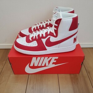 [ size 30cm]NIKE Nike Terminator DUNK red 