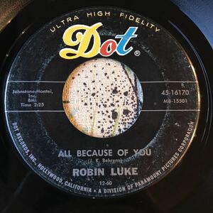 ROBIN LUKE US Original 7inch ALL BECAUSE OF YOU / SO ALONE オールディーズ