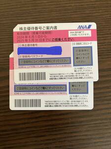 ANA 全日空 株主優待券 ２枚　有効搭乗期間 2024年6月1日から2025年5月31日まで