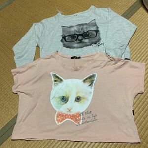 猫　トップス　M〜Ｌサイズ　2枚セット