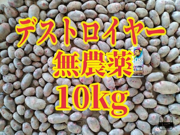 じゃがいも　デストロイヤー 10キロ