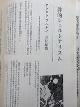 現代詩手帖1973年★総頁特集・シュルレアリスムの現在★西脇順三郎、瀧口修造、山中散生、稲田三吉、ルネクルヴェル、アランジュフロワ_画像8