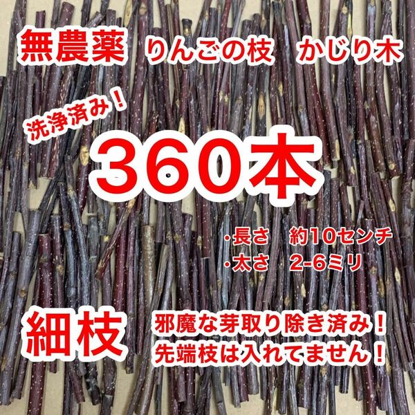 かじり木　360本　りんごの枝　青森県産　小動物