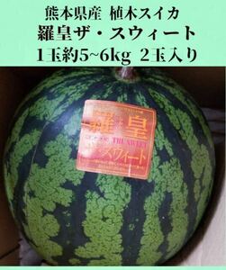 【送料無料◎1スタ!!!】熊本県産 植木スイカ 羅皇ザ・スウィート 1玉約5~6kg 2玉入り 家庭用