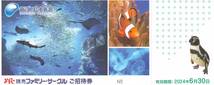 【大黒屋】新江ノ島水族館 招待券 １枚（個数９まで） 有効期限：2024年6月30日まで_画像1
