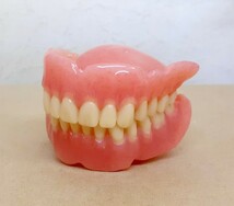 送料込み　上下総義歯　歯科 総義歯 サンプル 見本 入れ歯 フルデンチャー 歯科技工　歯科　技工_画像1