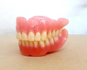 送料込み　上下総義歯　歯科 総義歯 サンプル 見本 入れ歯 フルデンチャー 歯科技工　歯科　技工