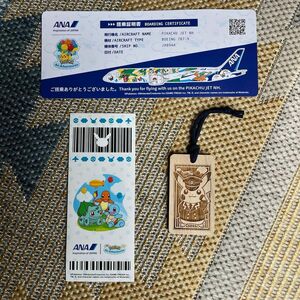 ANA ピカチュウ　ジェット　BOEING 787-9 JA894A 搭乗証明書 非売品