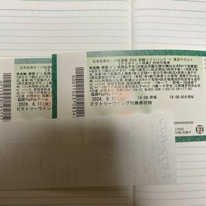2024年6月11日(火)福岡ソフトバンク 対 東京ヤクルト　ビクトリーウイング引換券２枚　ビュッフェ付き
