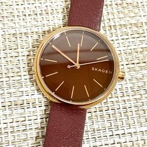 [限定特価品:ランクA-/稼働]SKAGEN スカーゲン SIGNATUR シグネチャー/SKW2646/バーガンディ/腕時計