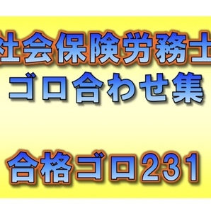 ◆一発合格◆社会保険労務士_ゴロ合わせ集 231個◆効率的勉強法◆社労士、語呂合わせ