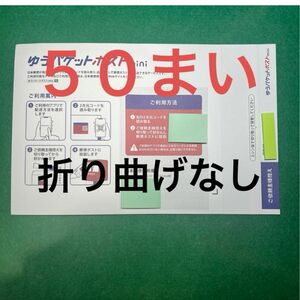 ５０枚ゆうパケットmini専用封筒（折り曲げなし)