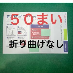 ５０枚ゆうパケットmini専用封筒（折り曲げなし)