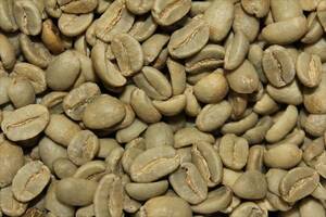 raw legume Papp a new giniasi Gris AA 1kg special liti coffee other brand . various equipped 