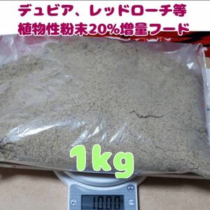 特製デュビアレッドローチフード【1kg】食物性粉末20%増量