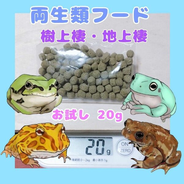 両生類固形フード【20g】