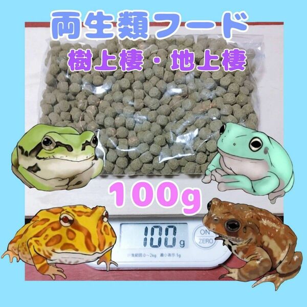 両生類固形フード【100g】