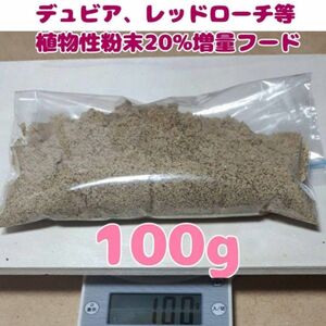 特製デュビアレッドローチフード【100g】食物性粉末20%増量