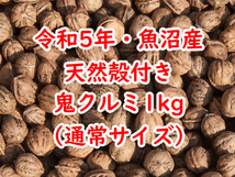 令和5年★新潟・魚沼産★天然殻付き鬼くるみ★1kg★通常サイズ★国産鬼胡桃_画像1