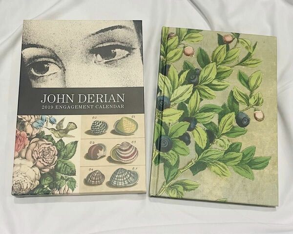 ジョンデリアン　カレンダー　2019 JOHN DERIAN engagement calendar アート　