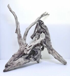 driftwood 3 point set * free shipping *.. disinfection ending [ actual article or goods photographing ] aquarium biotope aquarium layout /me Dakar reptiles tropical fish breeding / air plant water plants .