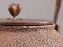 煎茶道具 晴寿堂造 銅製蓋 時代鉄瓶 時代物 極上品 初だし品 C6032_画像6