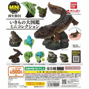 いきもの大図鑑ミニコレクション両生類（オオサンショウウオ、ニホンアマガエル、オキナワイシカワガエル）