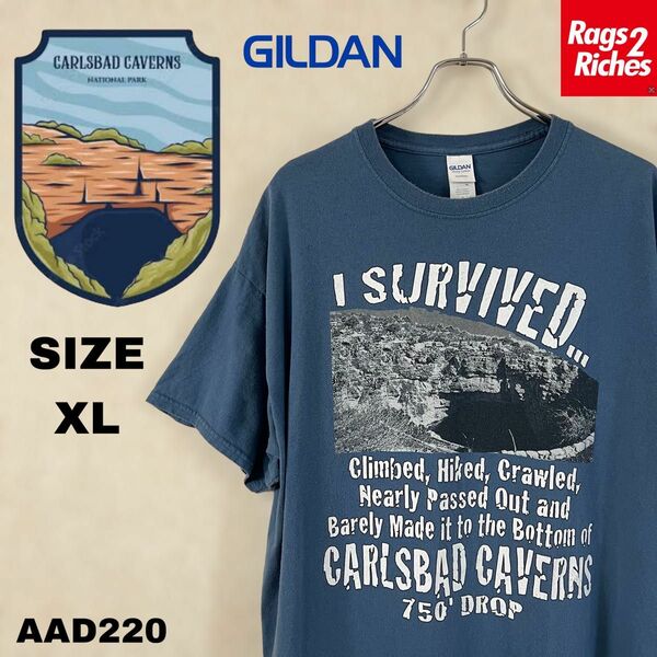 CARLSBAD CAVERNS カールズバッド洞窟群国立公園Tシャツ