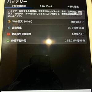 iPad Pro 9.7 WiFi 32G ピンクの画像4