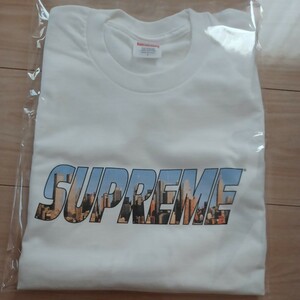 シュプリーム　SUPREME 2023FWのTシャツ Gotham Tee　Ｌ