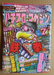 ◎ パチスロ攻略マガジン　2004/7月号　双葉社　懐かしのレトロ攻略雑誌　鉄拳 主役は銭形 だるま猫 南国育ち ドキドキ島 北斗の拳