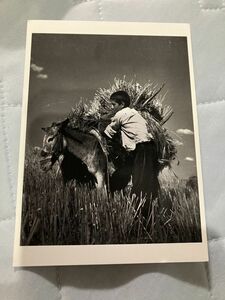 50 period photograph house Eugene Smith postcard lovely pretty child port Ray to abroad 4/// greeting birthday birthday Magnum antique 