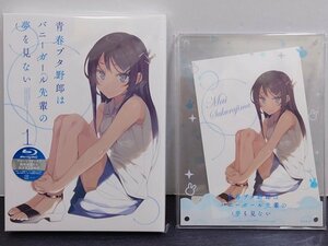 【Blu-ray】青春ブタ野郎はバニーガール先輩の夢を見ない 1 [完全生産限定版] // ANIPLEX+購入特典 桜島麻衣 キャラクターフォトフレーム付